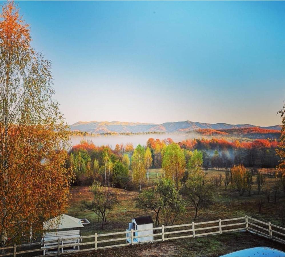 Pensiunea Gradina Ascunsa Bughea de Jos Exterior photo